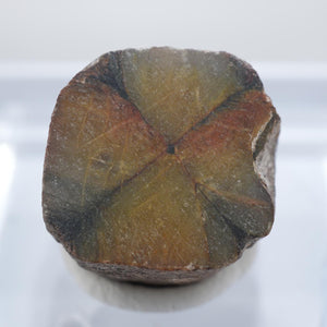 ジンバブエ産 Chiastolite
