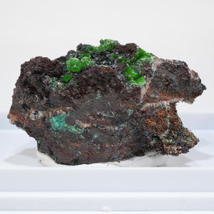 ギリシャ産 Conichalcite