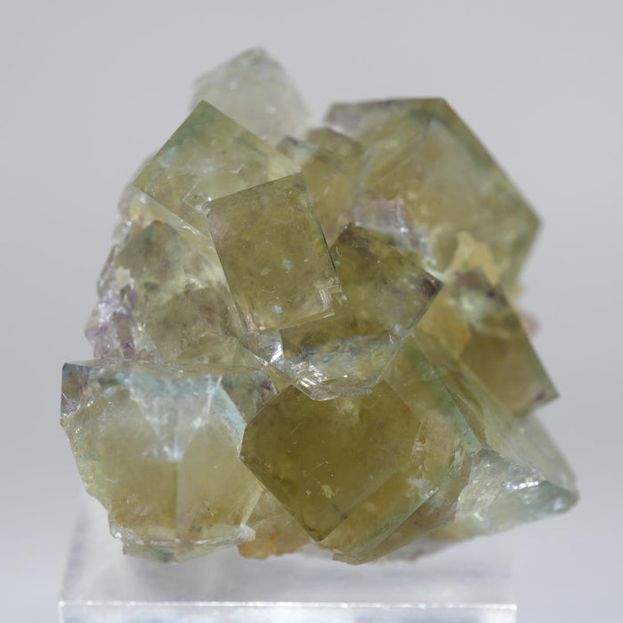 ナミビア Okorusu産フローライト