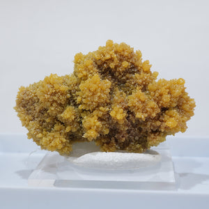 メキシコ産 Mimetite ミメタイト