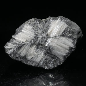 《蛍光》ロシア産 Chiastolite