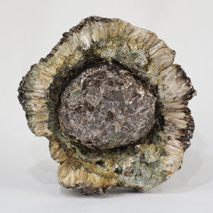チェコ産 Phlogopite・Anthophyllite