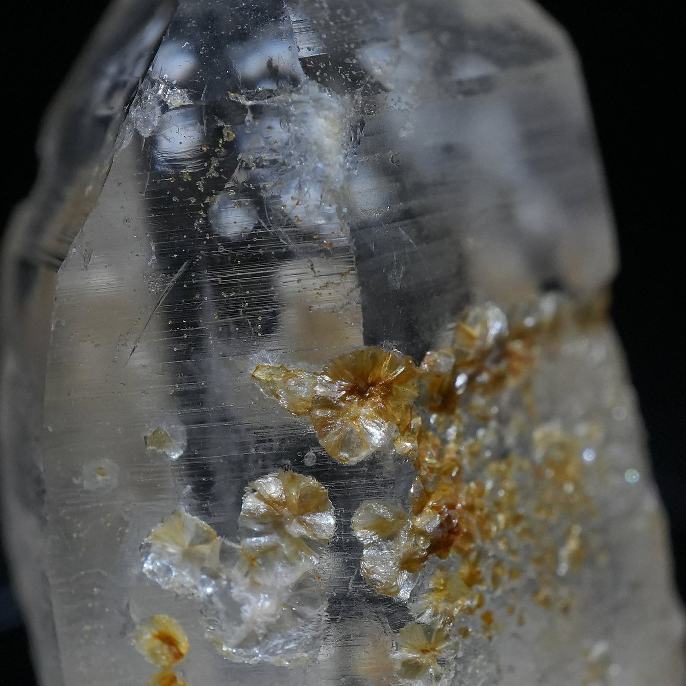 ドイツ産菌糸入り水晶 ドイツ産菌糸入り水晶 ドイツ産菌糸入り水晶 【公式通販】