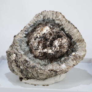 チェコ産 Phlogopite・Anthophyllite