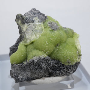 【初売りセール対象品】アメリカ アーカンソー州産 Wavellite・Crandallite