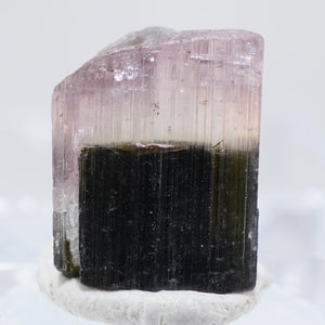 パキスタン産　エルバイト