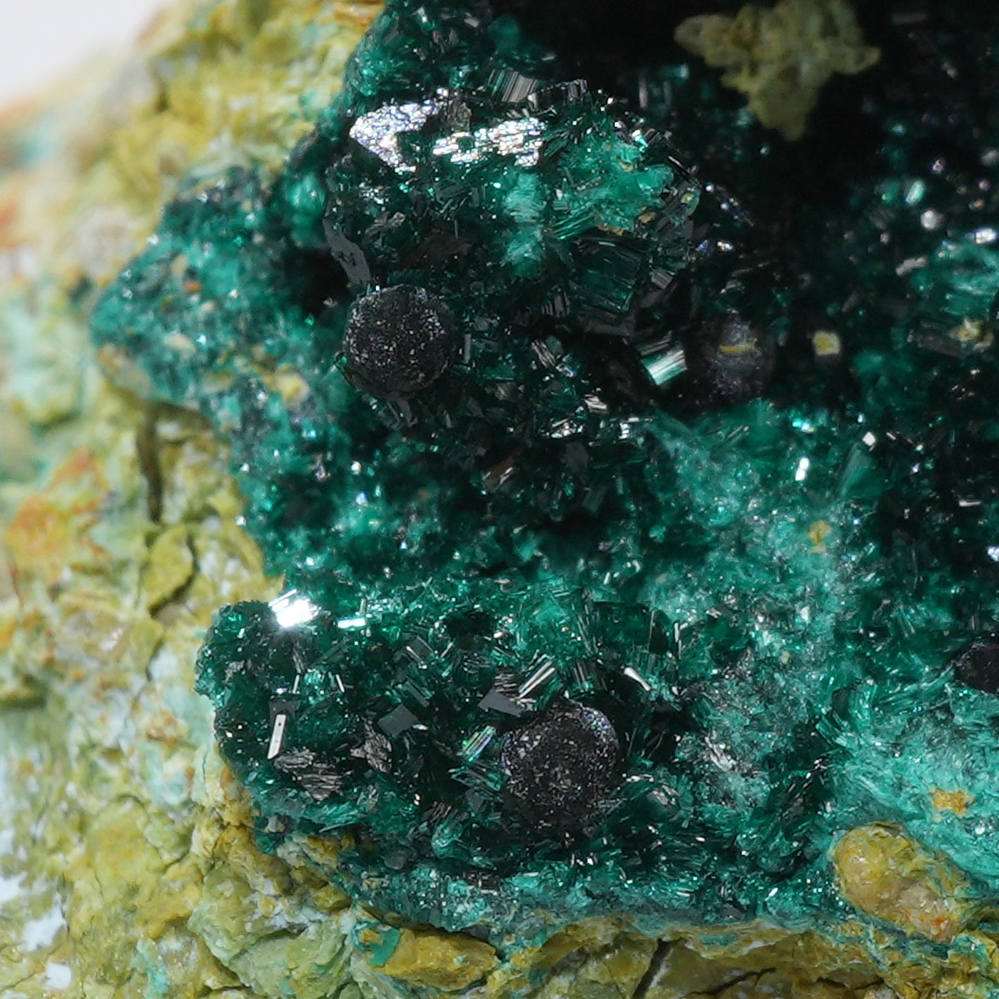 アメリカ ネバダ州産 Brochantite(ブロシャン銅鉱)・Pseudomalachite