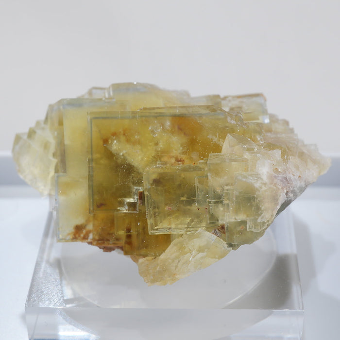 フランス La Barre(ラバール)産 フローライト