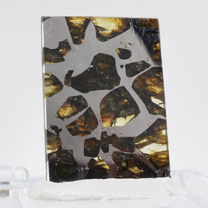 ロシア産 パラサイト隕石(Seymchan）約5.9ｇ