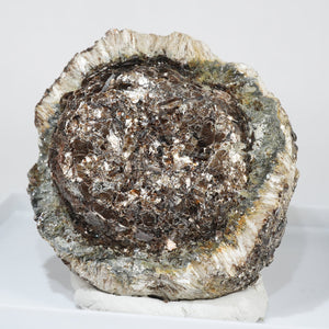 チェコ産 Phlogopite・Anthophyllite