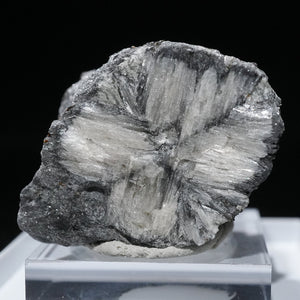 《蛍光》ロシア産 Chiastolite