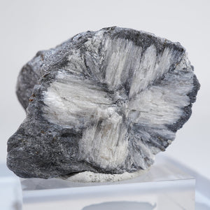 蛍光》ロシア産 Chiastolite – 天然石ハッピーギフト
