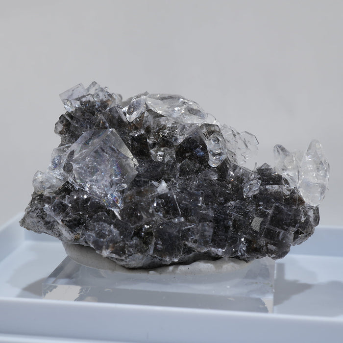 スペイン エミリオ鉱山産 フローライト ・カルサイト