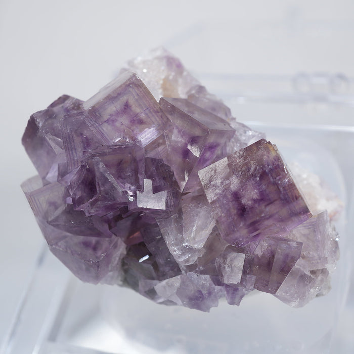 中国 貴州省産 フローライト