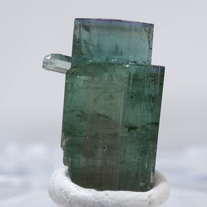 【初売りセール対象品】カリフォルニア州産 エルバイト