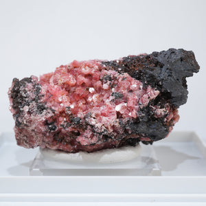 南アフリカ産 Ephesite (エフェサイト)