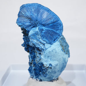 シャッタカイト – 天然石ハッピーギフト