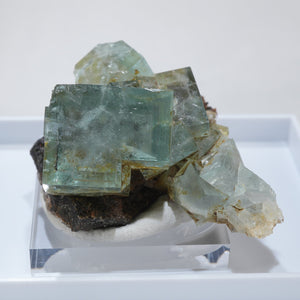 フローライト　標本　イギリス イギリス産 フローライト – 天然石ハッピーギフト