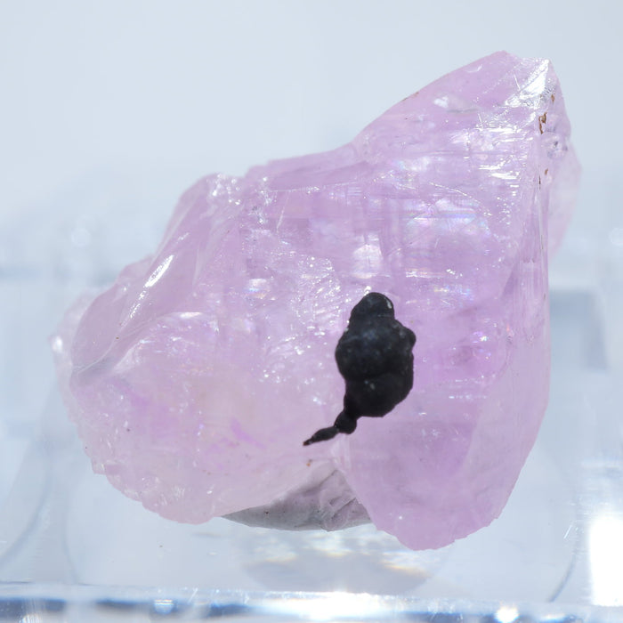 コンゴ民主共和国産 コバルトカルサイト