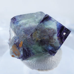 ナミビア Okorusu産 フローライト