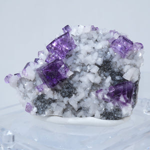 テネシー州 エルムウッド鉱山産 フローライト・スファレライト