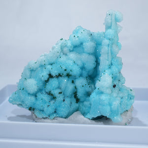 コンゴ民主共和国産 ドゥルージークリソコラ・マラカイト