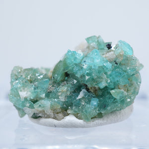 メキシコ産 Borcarite