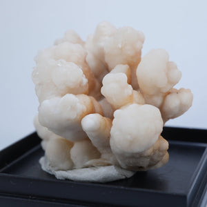 モロッコ産 ケーブカルサイト