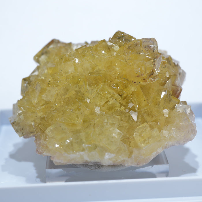 スペイン モスコーナ鉱山産 フローライト