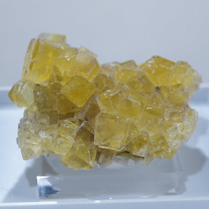 ナミビア Okorusu産フローライト