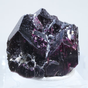 マダガスカル産 Liddicoatite リディコータイト (Tourmaline)