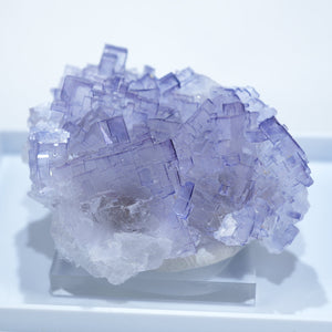 フローライト – 天然石ハッピーギフト