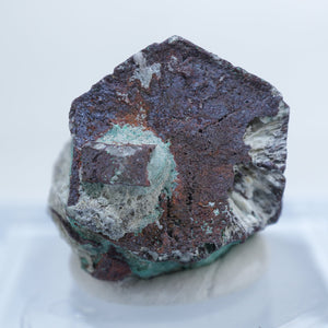 Bolivia産 Native Copper after Aragonite(仮晶)