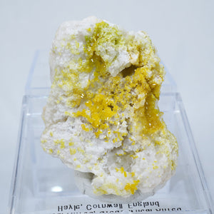 イギリス産 ミメタイト