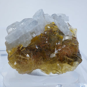 スペイン モスコーナ鉱山産 バライト付きフローライト