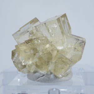 イギリス Wet Grooves Mine フローライト