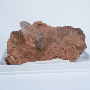 メキシコ産 Gypsum