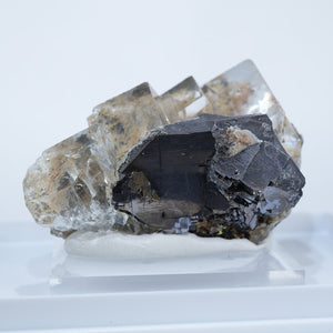 ロシア ダリネゴルスク産 フローライト・ガレナ