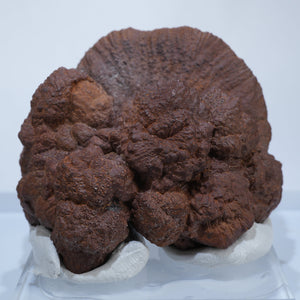 イタリア産 Marcasiteマーカサイト