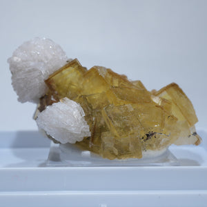 スペイン モスコーナ鉱山産 バライト付きフローライト