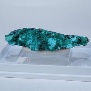 チリ産 Atacamite・Dioptase