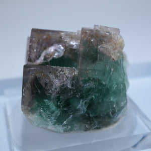 イギリス Hollywell Mine フローライト