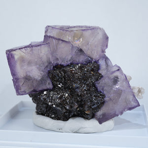 テネシー州 エルムウッド鉱山産 フローライト・スファレライト