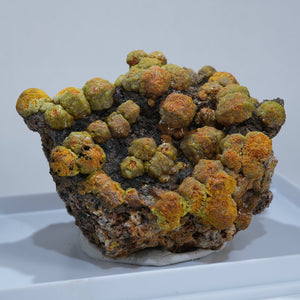 イギリス産 Campylite(カンピ石)