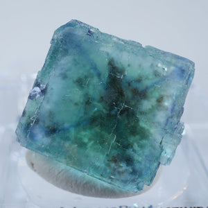 ナミビア Okorusu産フローライト