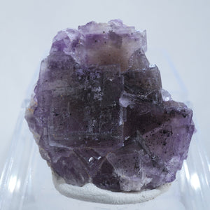 中国新疆ウイグル自治区産 オイル入りフローライト