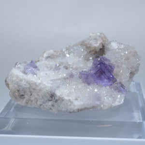 スペイン ベルベス産 フローライト