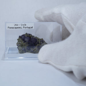 ポルトガル パナスケイラ フローライト 1260 天然石 原石 鉱物標本 蛍石 ポルトガル Panasqueira Mine フローライト – 天然石ハッピーギフト