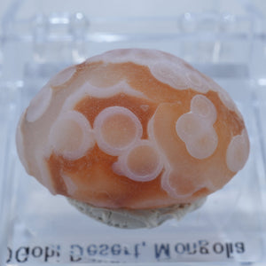 モンゴル ゴビ砂漠産　Gobi Eye Agate