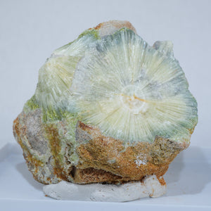 アメリカ アーカンソー州産 Wavellite